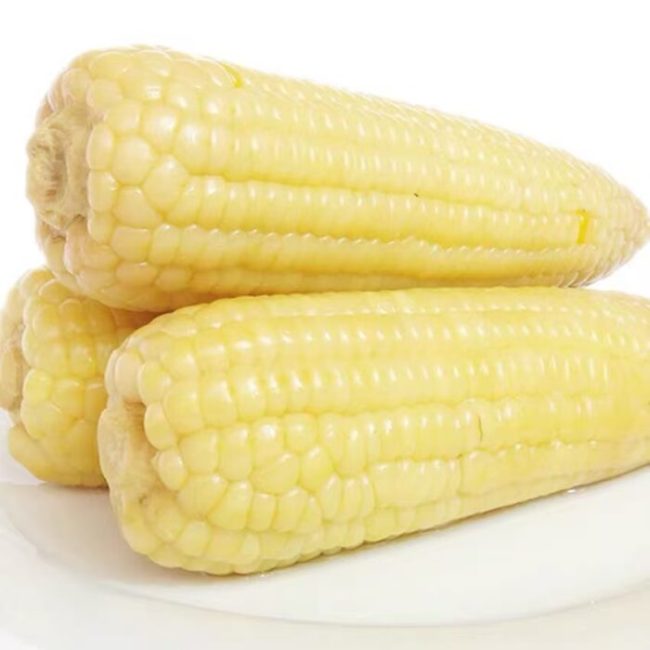 1737638981-3386fc19b6d54ae